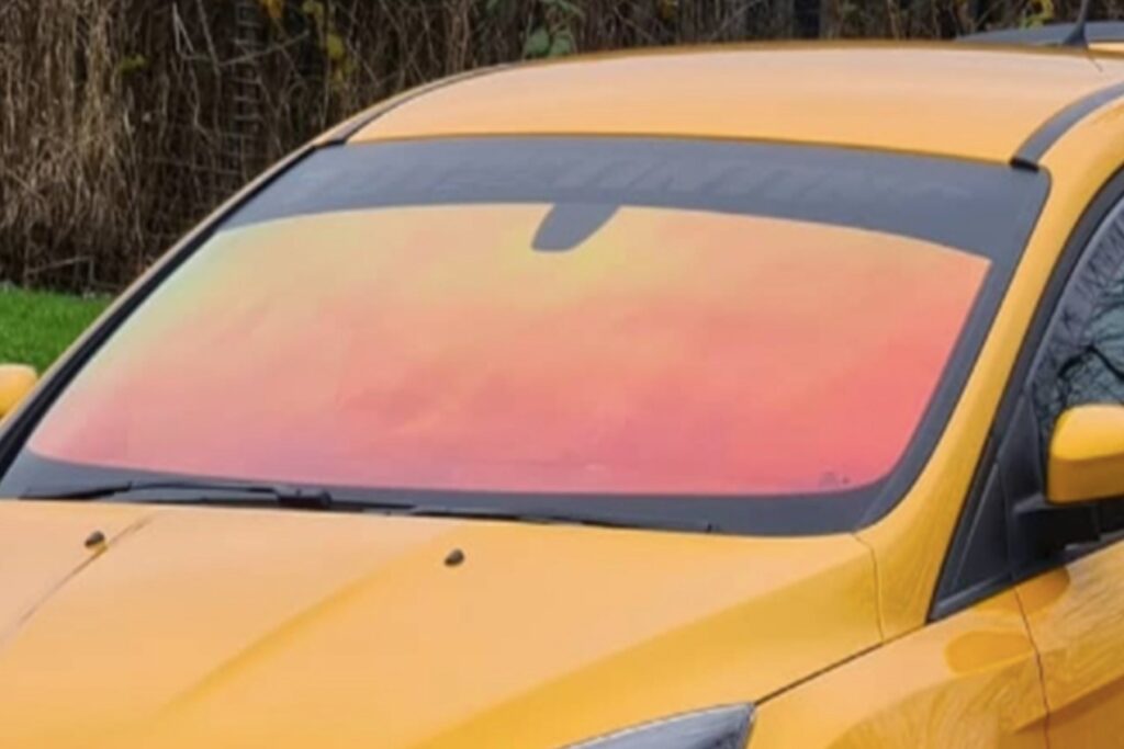 Chameleon raam tint voorraam oranje